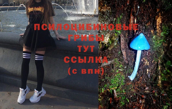a pvp Богданович