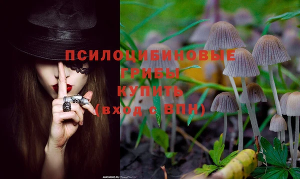 стафф Богородск