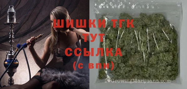 стафф Богородск