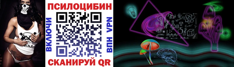 Купить где Бодайбо Псилоцибиновые грибы MAGIC MUSHROOMS