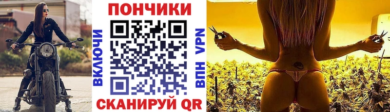 Купить где  Бодайбо  Марихуана сатива 